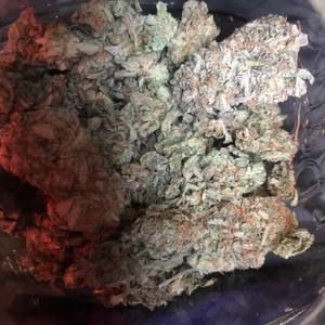 Meet your Posher, Will